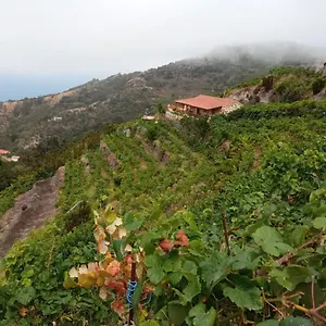 Quilla Agulo